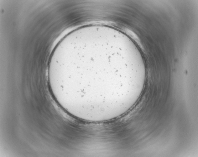 X0000087751428200705211026