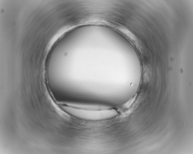 X0000087751430200705211026