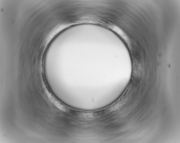 X0000087751431200705211026