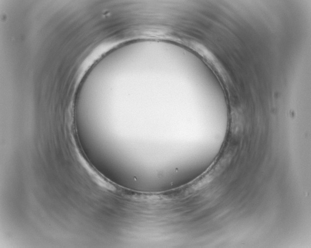 X0000087751432200705211026