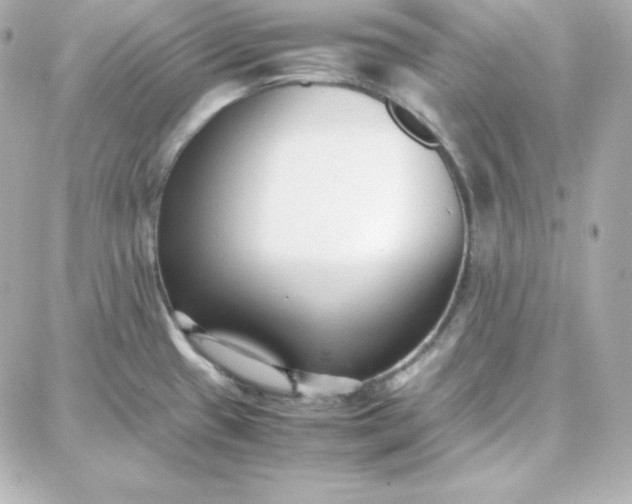 X0000087751433200705211026