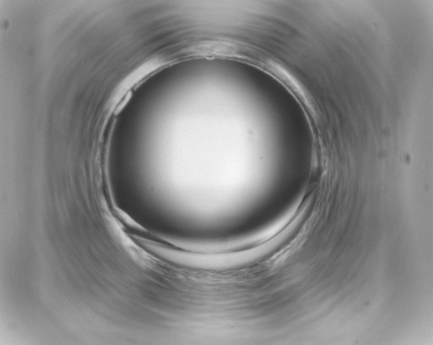 X0000087751434200705211026