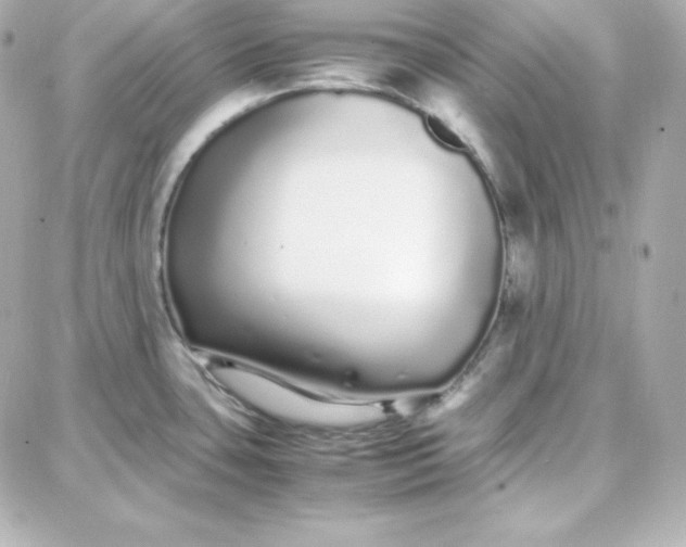 X0000087751435200705211026