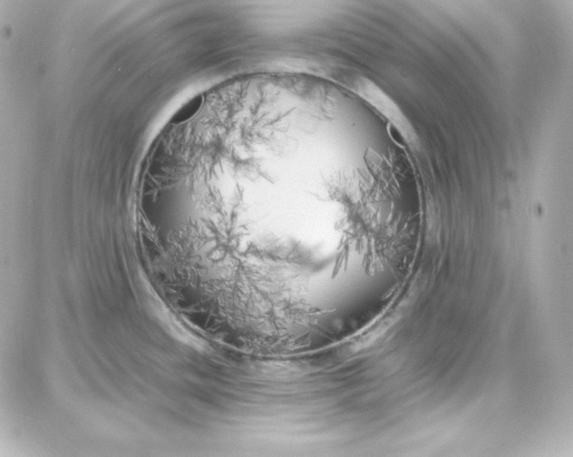 X0000087751436200705211026