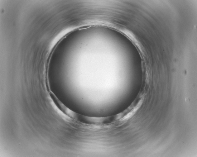 X0000087751438200705211026