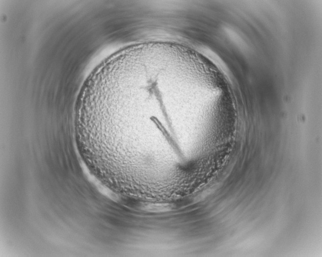 X0000087751439200705211026