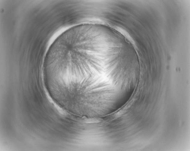 X0000087751440200705211026