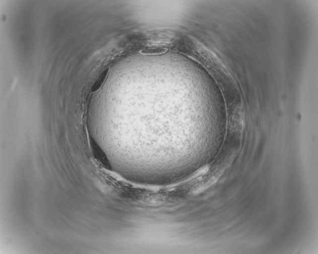 X0000087751441200705211025