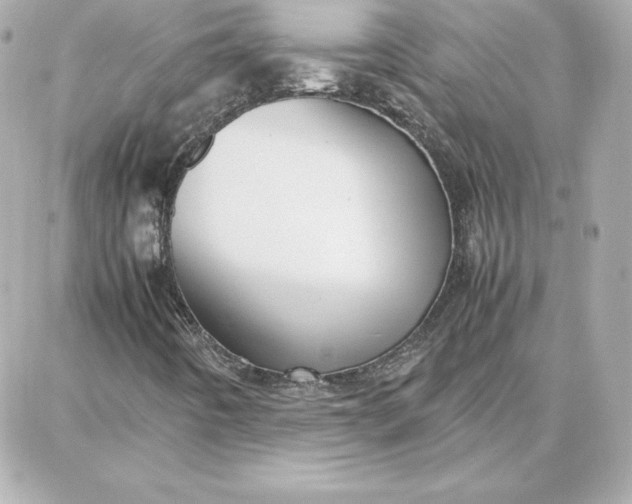 X0000087751442200705211025