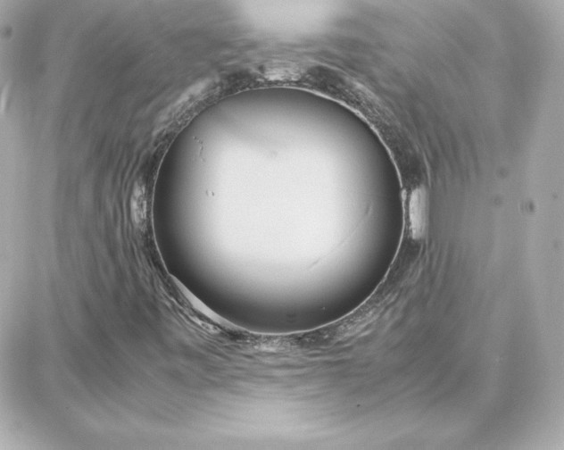 X0000087751443200705211025