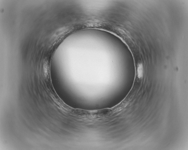 X0000087751444200705211025