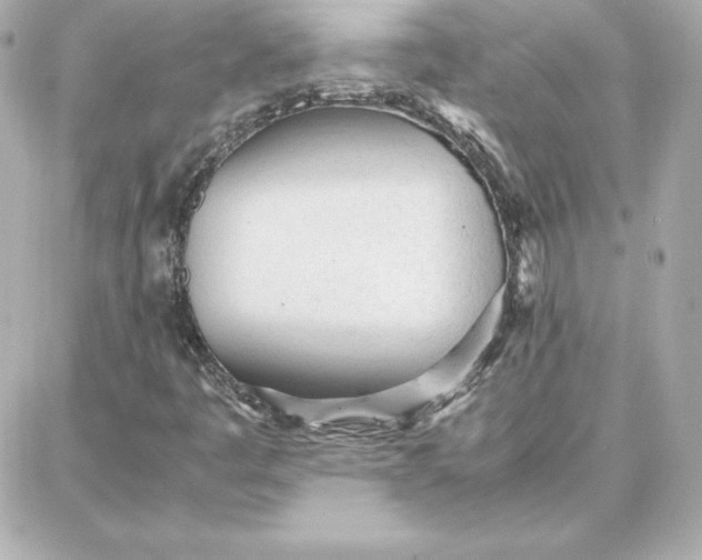 X0000087751445200705211025