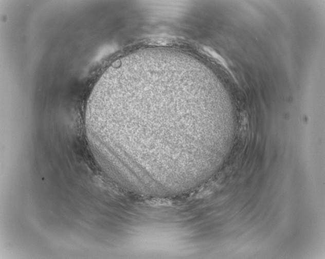 X0000087751446200705211025