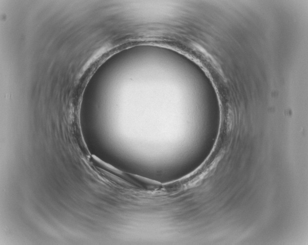 X0000087751449200705211025