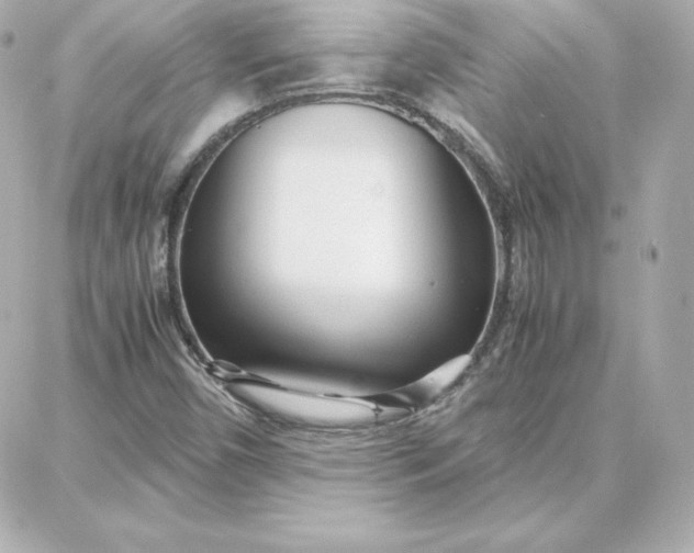 X0000087751450200705211025