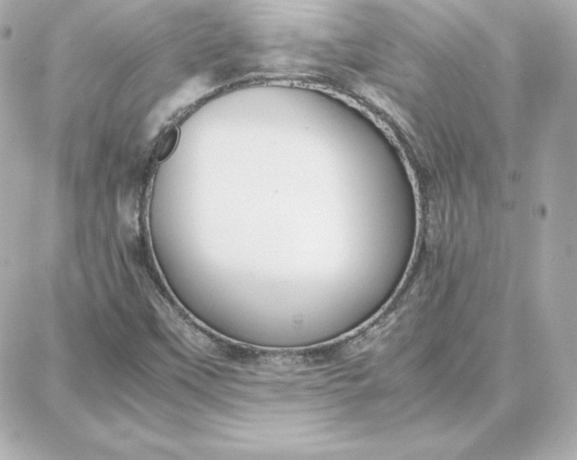 X0000087751451200705211025