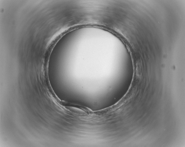 X0000087751452200705211025