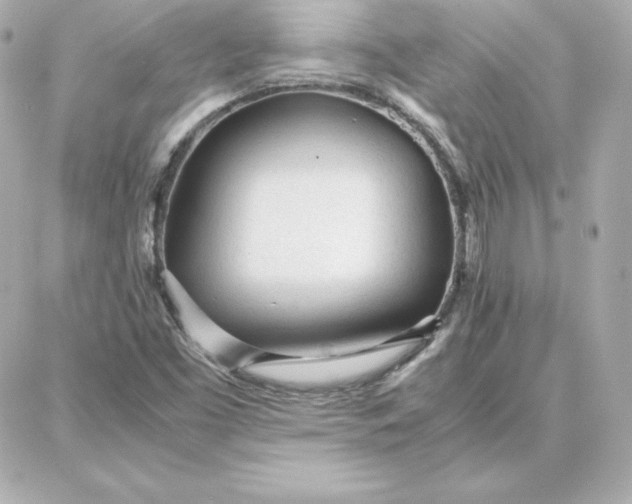 X0000087751453200705211025