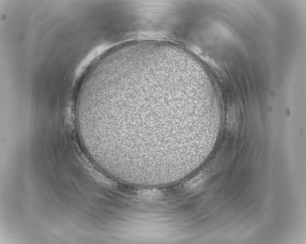 X0000087751454200705211025