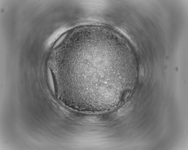 X0000087751455200705211025