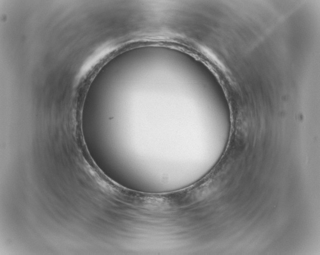 X0000087751456200705211025