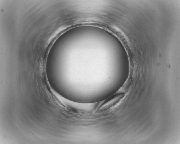 X0000087751457200705211025