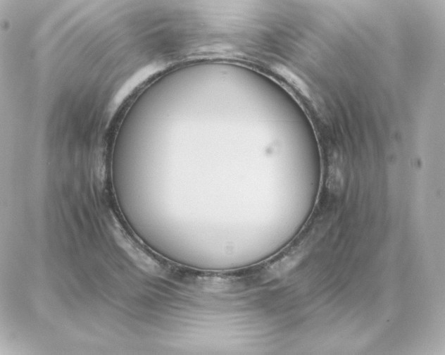 X0000087751458200705211025