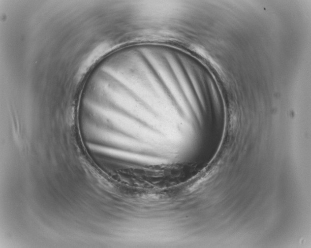 X0000087751459200705211025