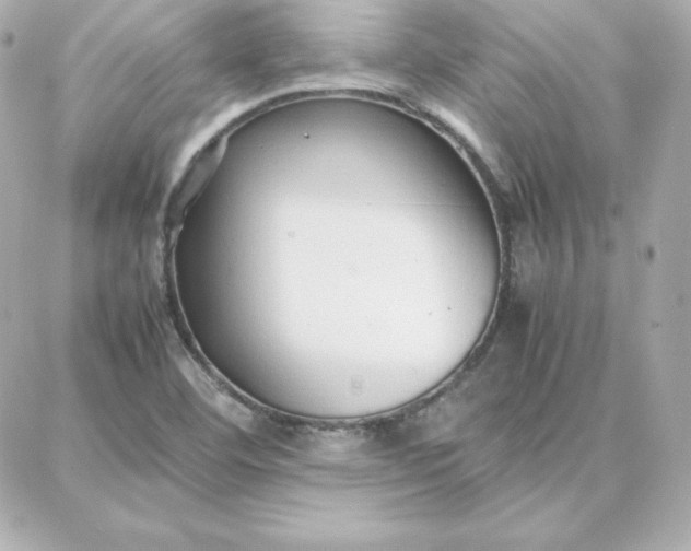 X0000087751460200705211025