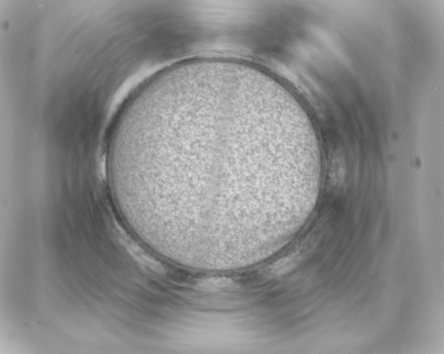 X0000087751462200705211025