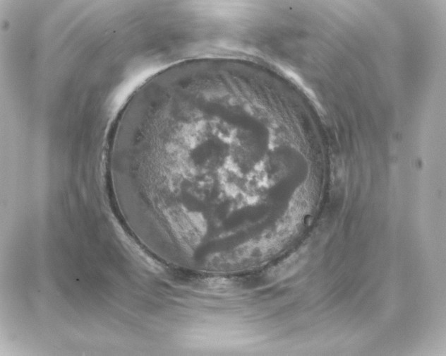 X0000087751463200705211025