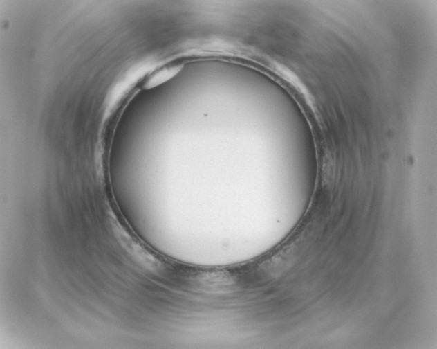 X0000087751464200705211025