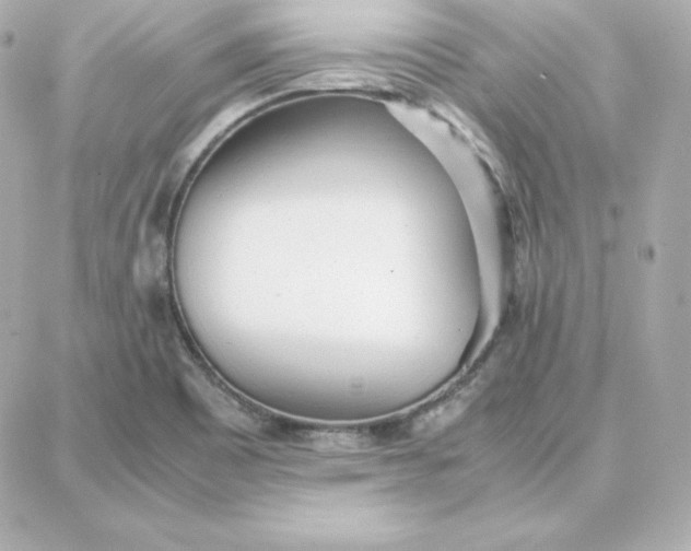 X0000087751465200705211025