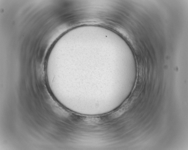 X0000087751466200705211025