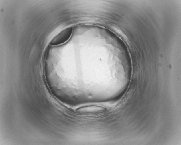 X0000087751467200705211025