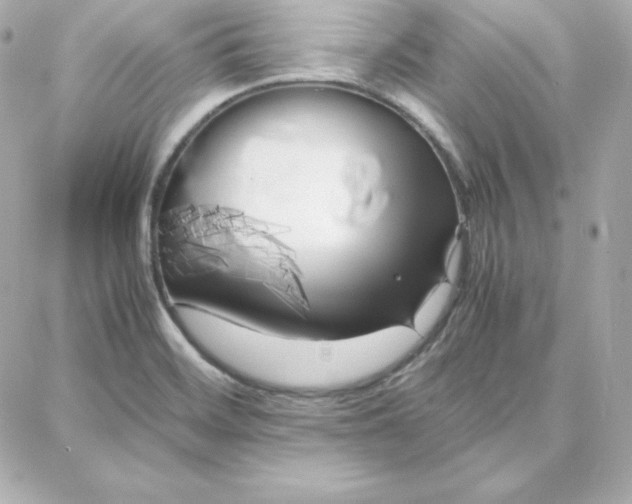 X0000087751468200705211025