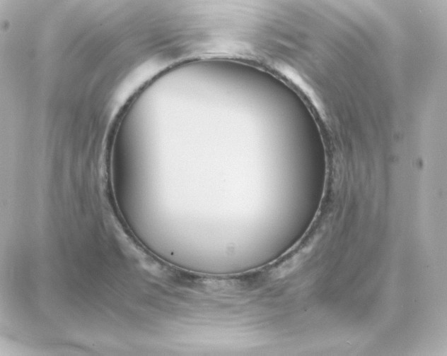 X0000087751469200705211025