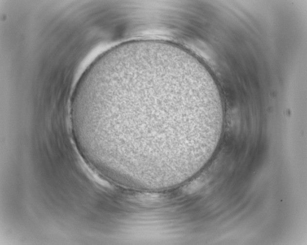 X0000087751470200705211025