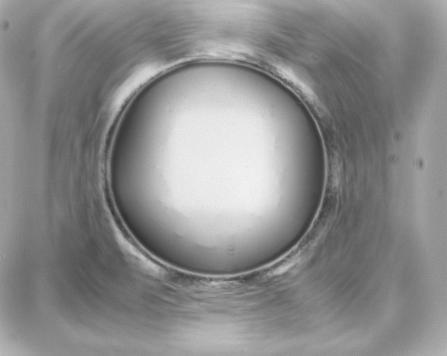 X0000087751471200705211025