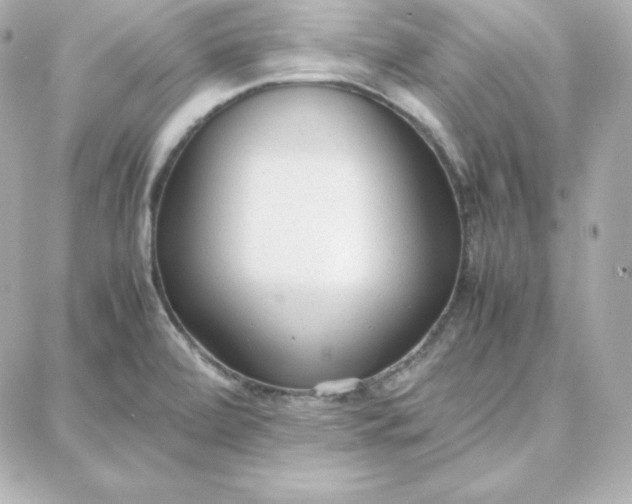 X0000087751472200705211025