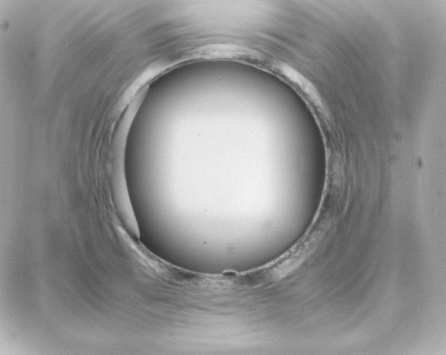 X0000087751473200705211025