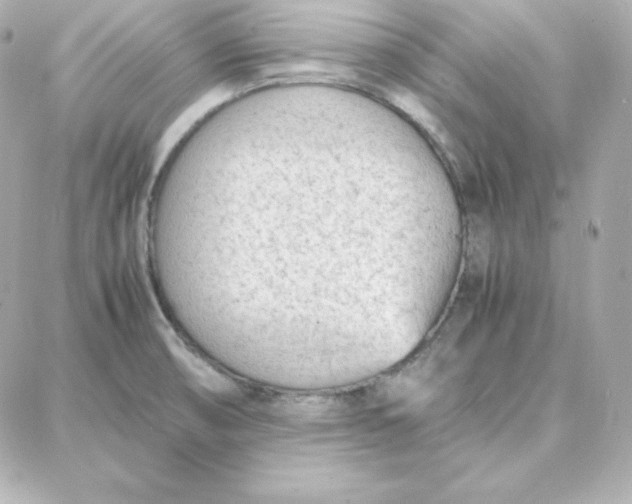 X0000087751474200705211025