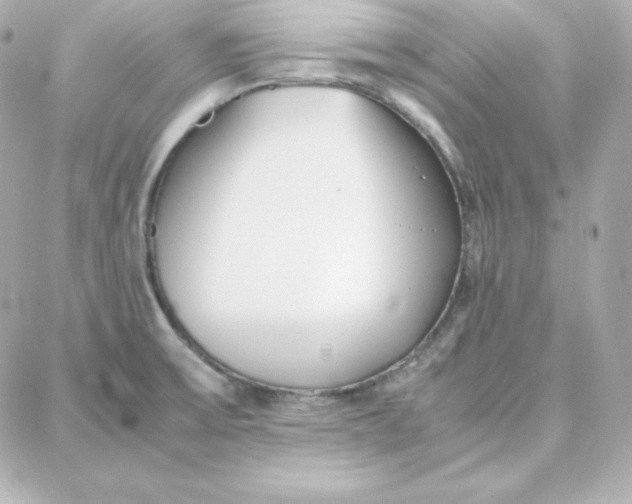 X0000087751475200705211025