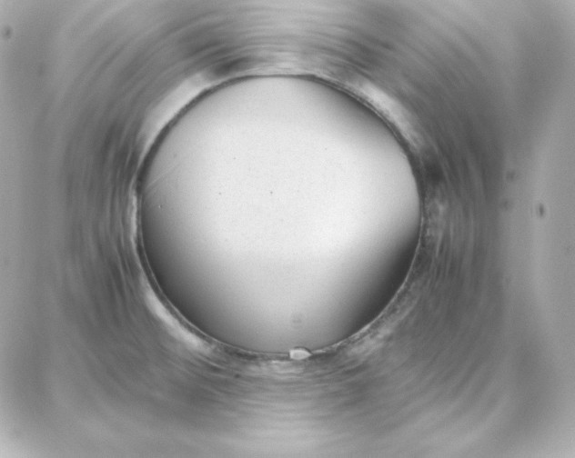 X0000087751476200705211025