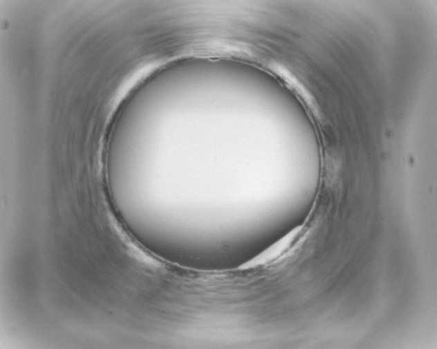 X0000087751477200705211025