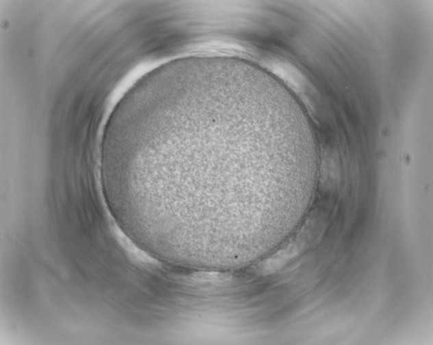 X0000087751478200705211025