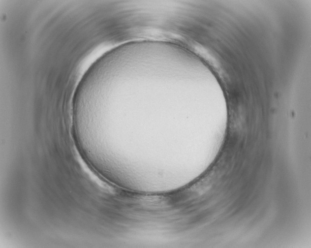 X0000087751479200705211025