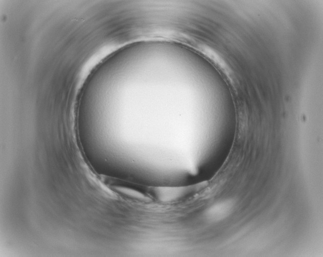 X0000087751480200705211025