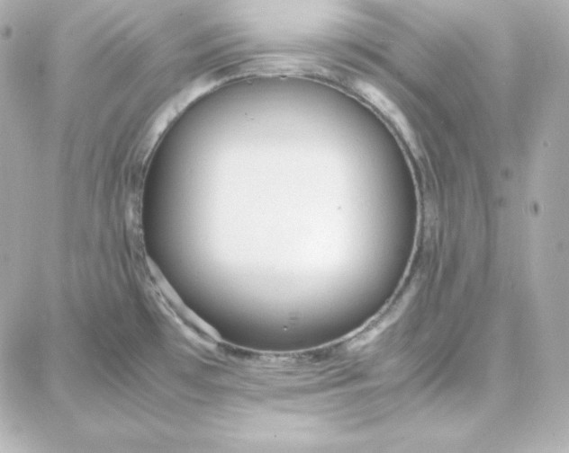 X0000087751481200705211025