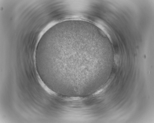 X0000087751482200705211025